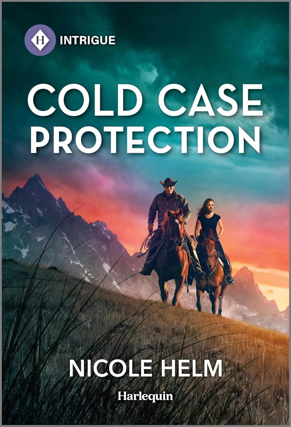 Cold Case Protection (Hudson Sibling Solutions, 5) Mass Market Paperback  December 24, 2024